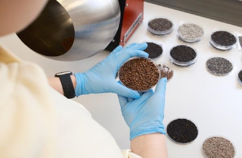 روسيا.. ابتكار هلام يزيد إنبات البذور