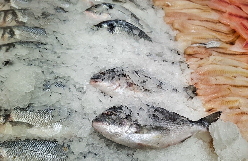 الصين.. اكتشاف فيروس جديد في المنتجات البحرية يسبب العمى