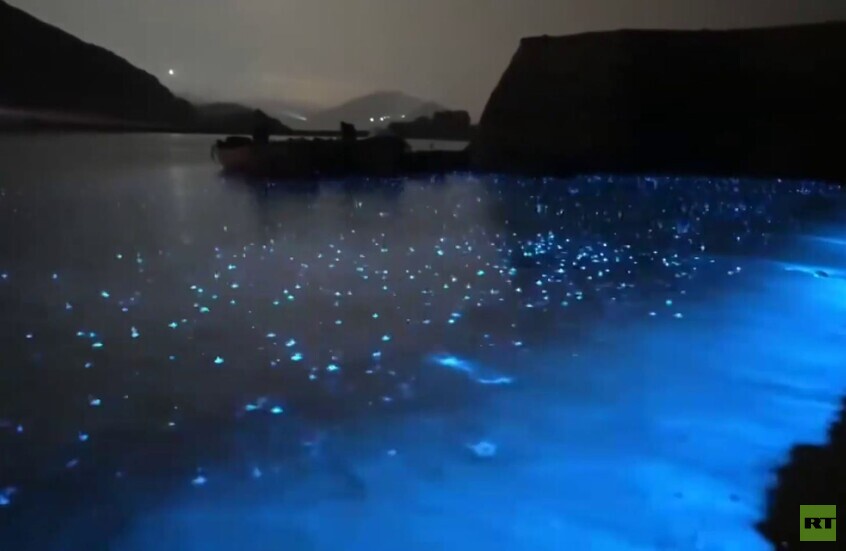 الصين.. ظاهرة "الدموع الزرقاء" الساحرة على سواحل ريتشاو