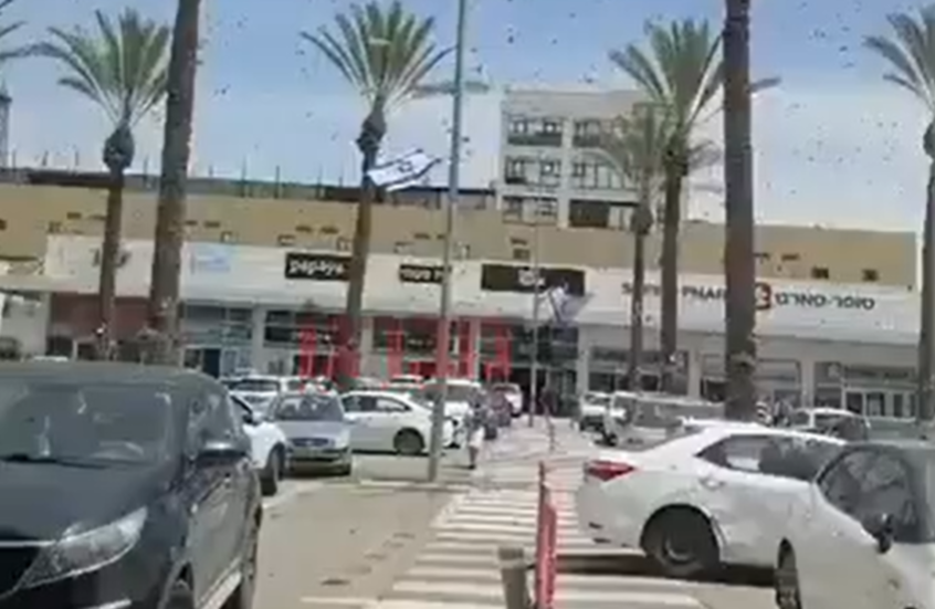 غزو من نوع آخر يجتاح مدينة إسرائيلية (فيديوهات)