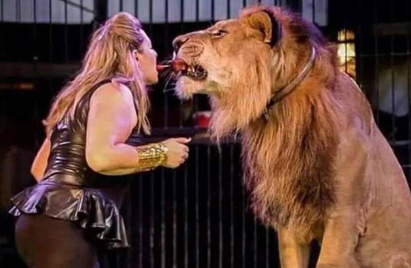 صورة تذكارية لطفلة مصرية تتحول إلى كابوس بسبب هجوم أسد عليها