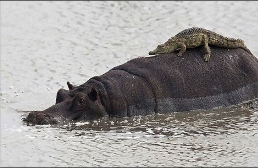 اكتشاف علمي يعيد رسم تاريخ مناخ الجزيرة العربية وهجرات البشر