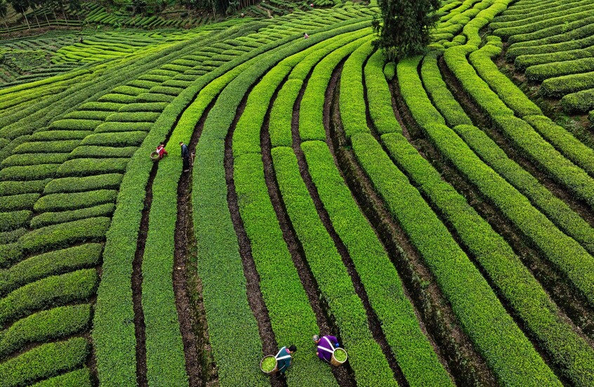 الصين تسجل نموا اقتصاديا أعلى من المتوقع