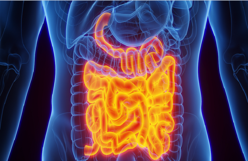 عدد مرات التبرز يكشف أسرارا عن صحة الأمعاء