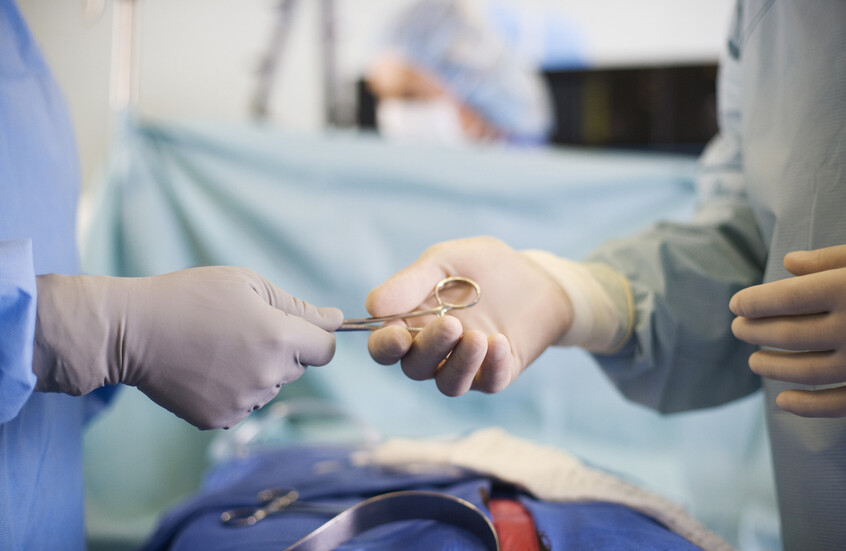 تقنية جديدة تعلم جهاز المناعة قبول الكبد المزروع دون أدوية