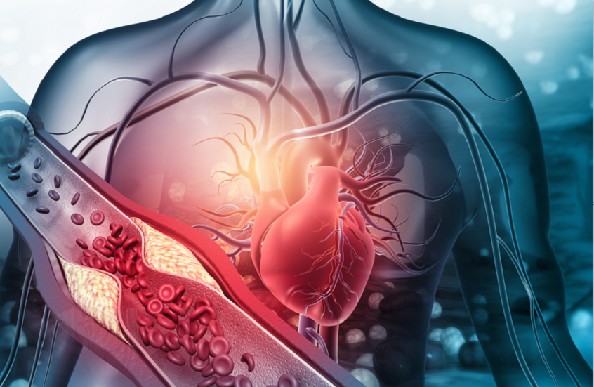 سر غذائي بسيط لحماية القلب مع التقدم في العمر