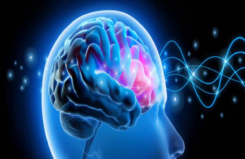 خطوات بسيطة قد تحمي الدماغ من التدهور مع التقدم بالعمر