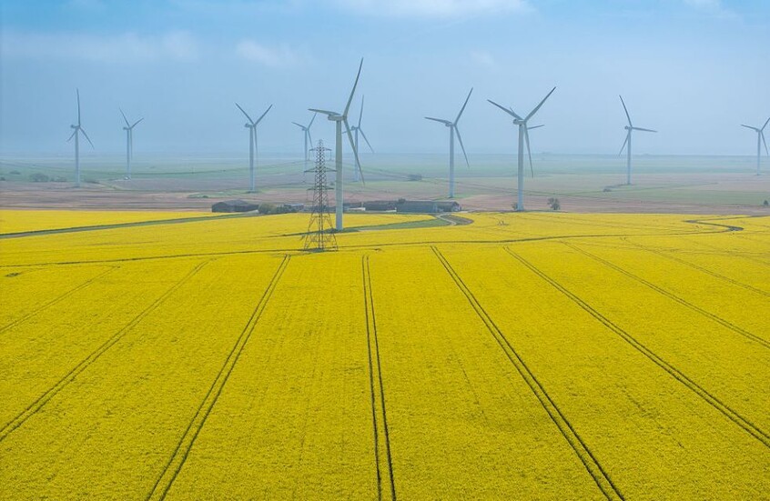 ترامب لن يشعل شرارة ثورة خضراء