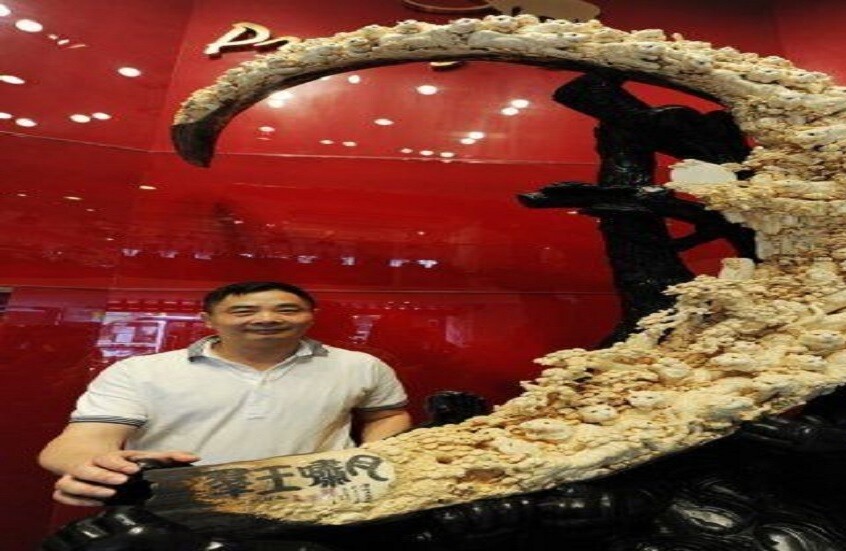 روسيا.. مهرجان "الغراب الذهبي" يمنح عاج الماموث لمخرج صيني