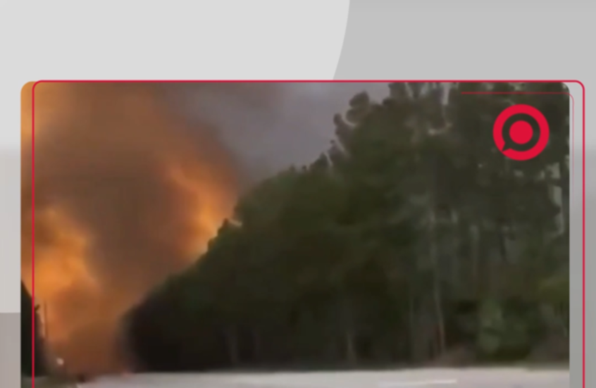 كارثة بيئية في أمريكا.. حرائق غابات متزامنة تجتاح ولاية جورجيا