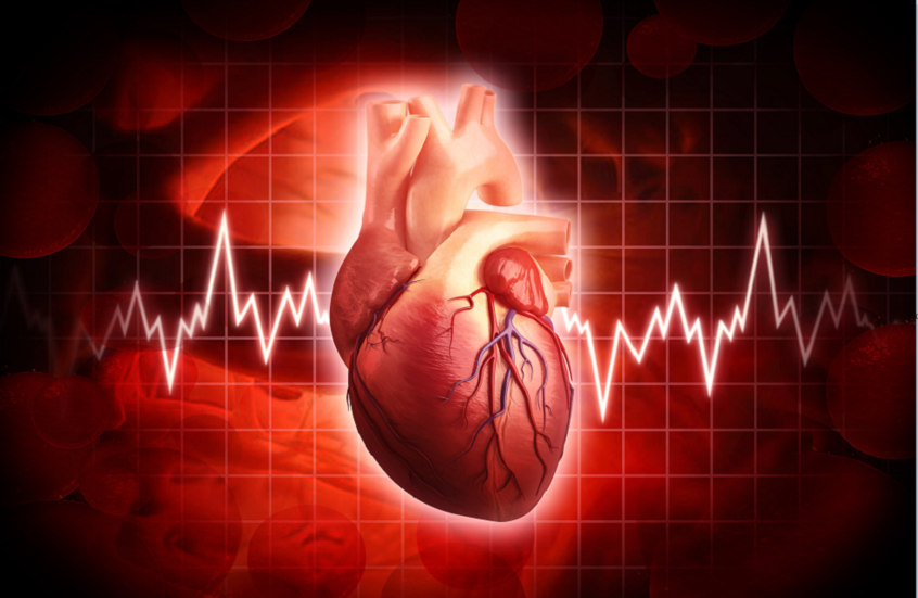 نتائج صادمة حول تأثير الحي السكني على الشرايين والقلب