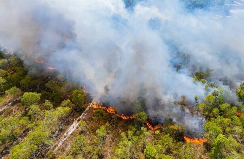 الولايات المتحدة.. حرائق الغابات تلتهم عشرات المنازل (فيديوهات)