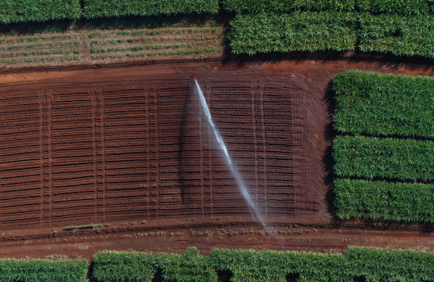 سوريا.. البرد يلحق خسائر مهولة بمحاصيل زراعية ومطالب بتعويض المتضررين