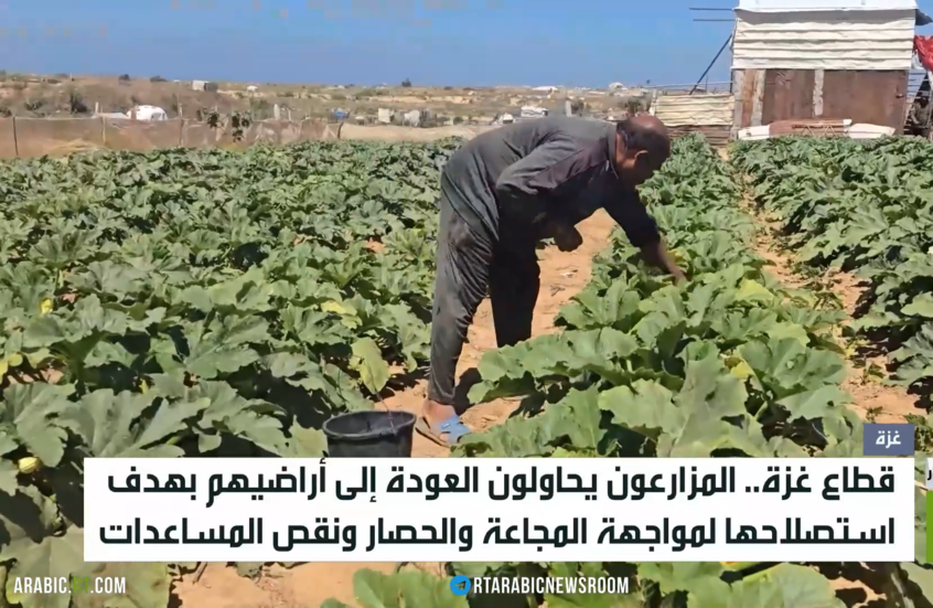 غزة.. المزارعون يحاولون استصلاح الأراضي