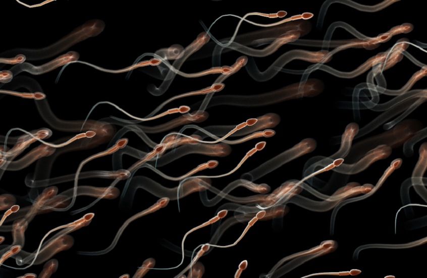 "أولمبياد الحيوانات المنوية".. حدث أمريكي غريب يثير الجدل حول خصوبة الرجال