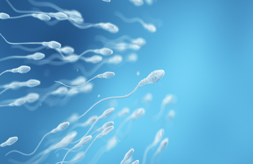 شركة أمريكية تنجح في إنتاج حيوانات منوية في المختبر قادرة على تكوين أجنة سليمة