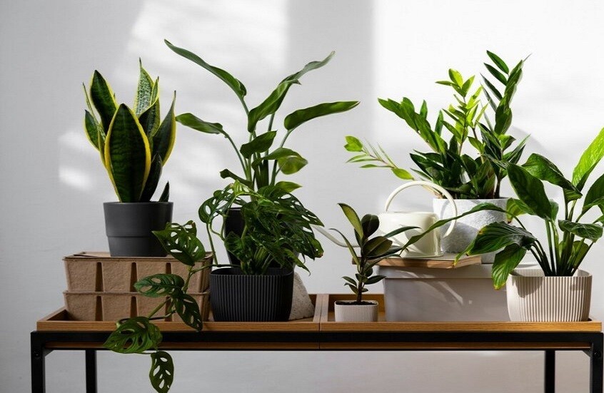 روسيا.. تطوير هيدروجيل حيوي لتحسين كفاءة الري وتنظيم رطوبة التربة