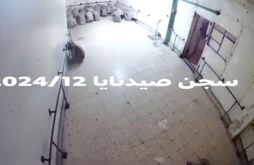 تداول فيديوهات من داخل سجن صيدنايا من حقبة الأسد