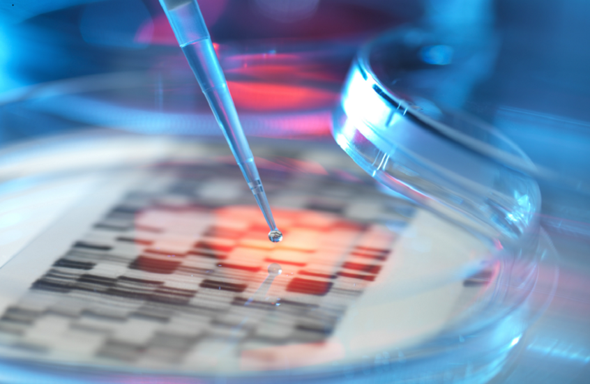 دراسة جديدة تعيد رسم خريطة أصول الإنسان في إفريقيا