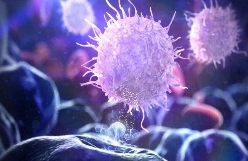 اكتشاف "ذاكرة" جزيئية طويلة الأمد للسمنة في الخلايا المناعية