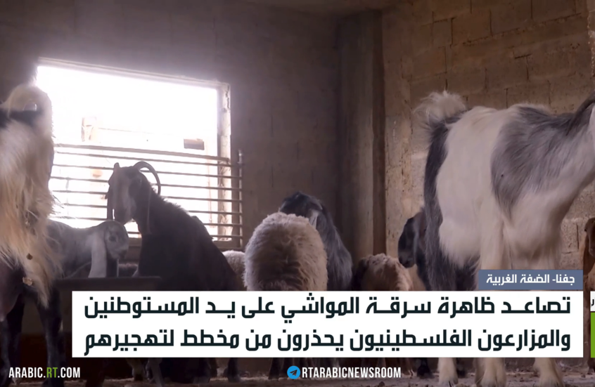 اعتداء المستوطنين بالضفة نهج منظم