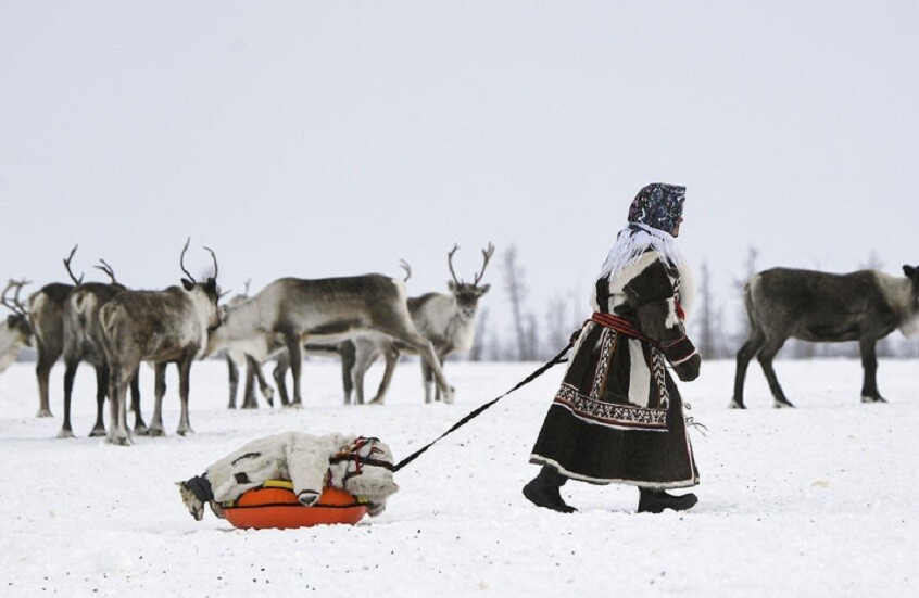 المحلل السياسي جورافليف: الشعوب الأصلية في روسيا تُثري الثقافة الوطنية