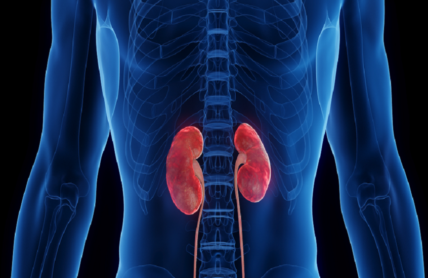 ما علاقة اللثة بأمراض الكلى؟