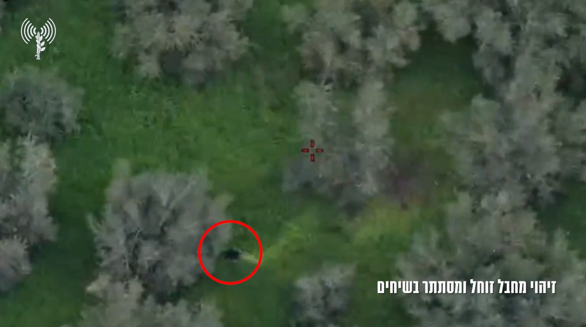 الجيش الإسرائيلي يعلن تصفية "المئات" من عناصر "حزب الله" (فيديو)