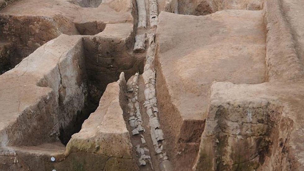 نظام صرف قديم يكشف ملامح دولة مبكرة في الصين قبل 4 آلاف عام