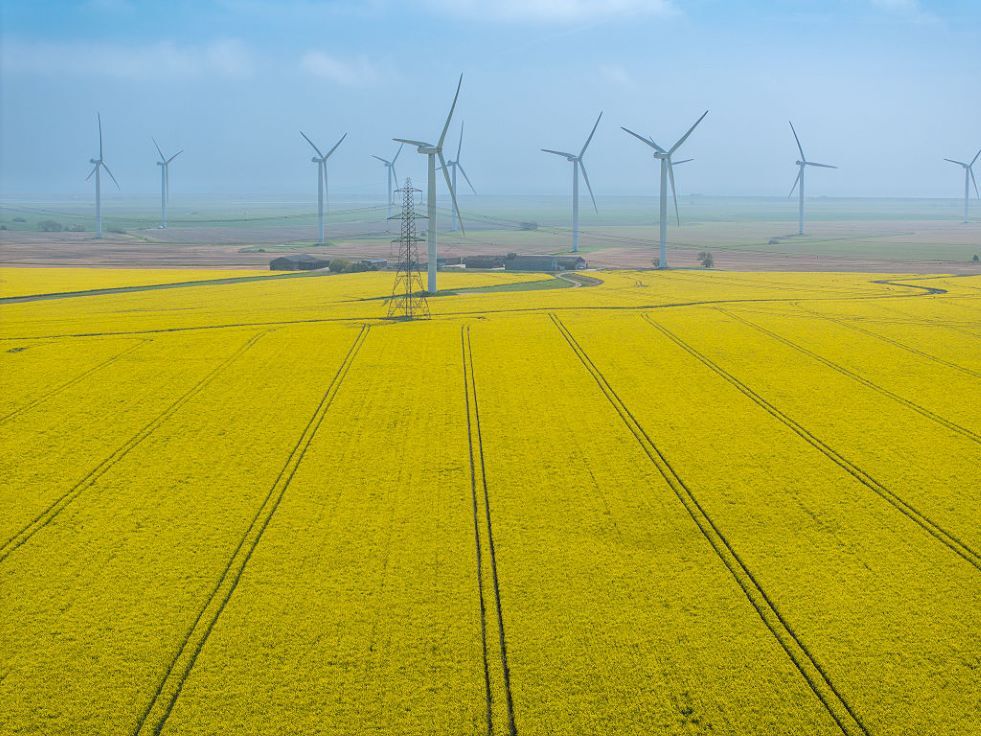 ترامب لن يشعل شرارة ثورة خضراء