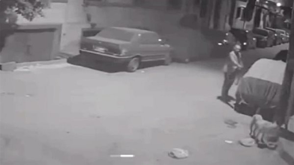 مصر.. مدير بنك شهير يقتل كلبا رميا بالرصاص ويثير ردود فعل غاضبة