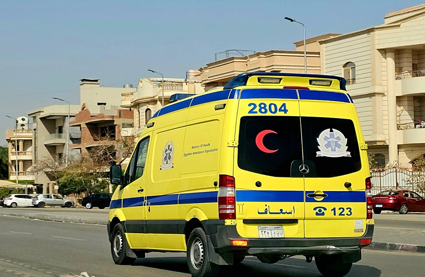 كلب مسعور يثير الذعر في محافظة مصرية بعد عقره 12 شخصا