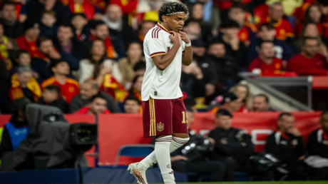 نبض الملاعب