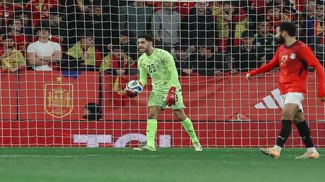 نبض الملاعب