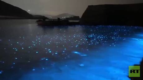 الصين.. ظاهرة "الدموع الزرقاء" الساحرة على سواحل ريتشاو