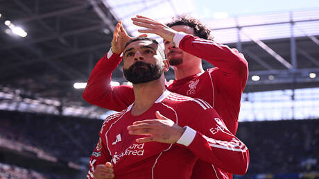 نبض الملاعب