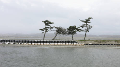 زلزال قوي يهز اليابان يتبعه تسونامي على سواحلها (فيديو)