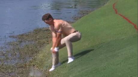 نبض الملاعب