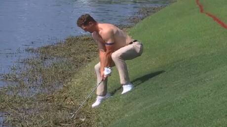 نبض الملاعب