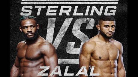 نبض الملاعب