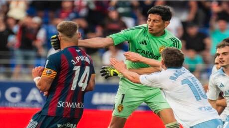 نبض الملاعب