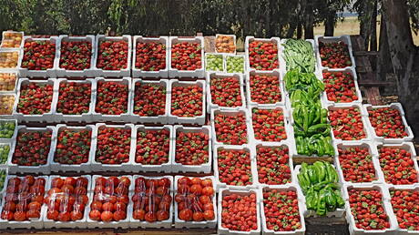 سوريا تمنع استيراد قائمة من المواد الغذائية والزراعية لحماية المنتج المحلي