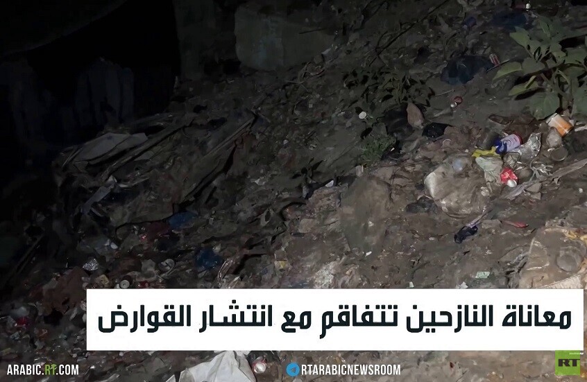 معاناة النازحين تتفاقم مع انتشار القوارض