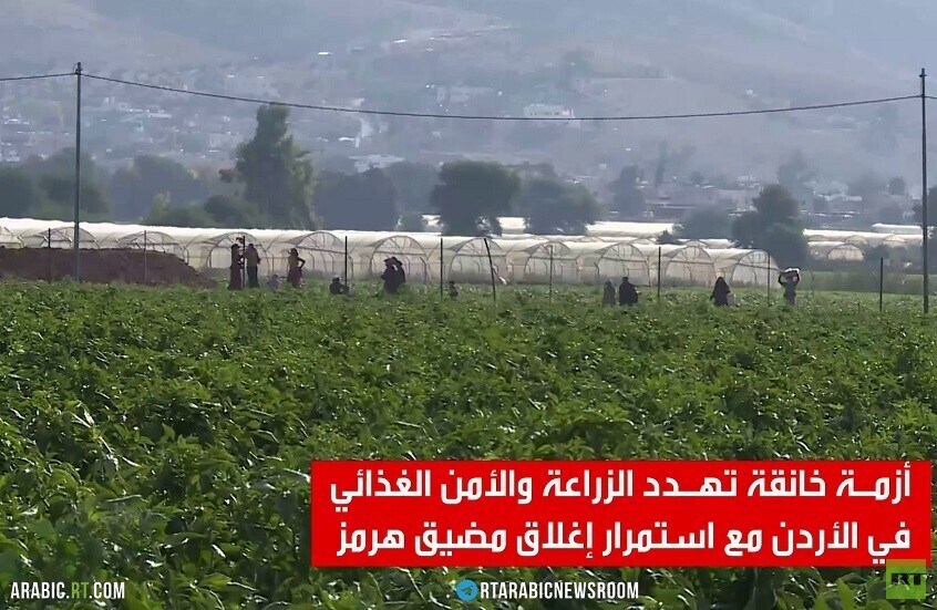 أزمة هرمز تهدد الأمن الغذائي الأردني