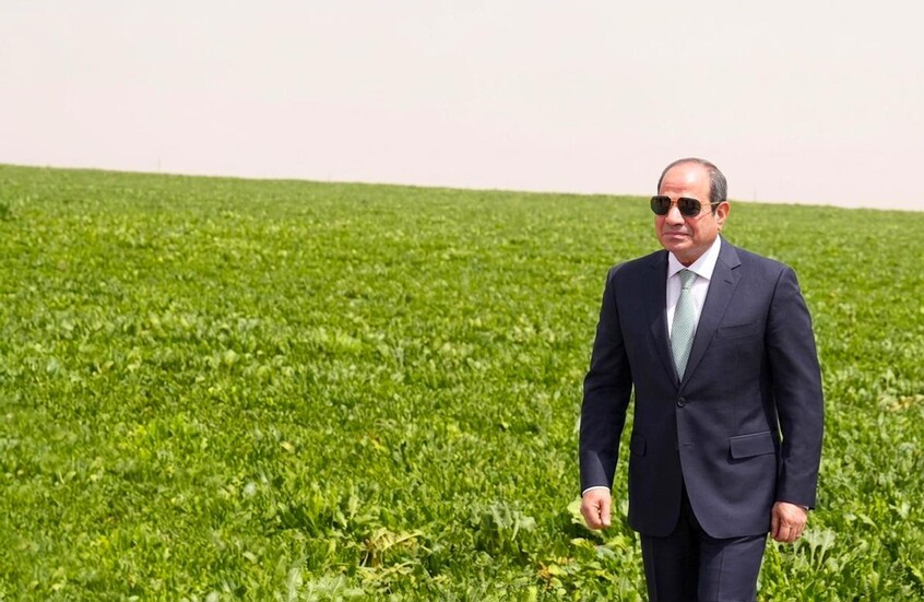 وزير مصري: السيسي بيتحاسب على المياه بالمتر المكعب زي المصريين