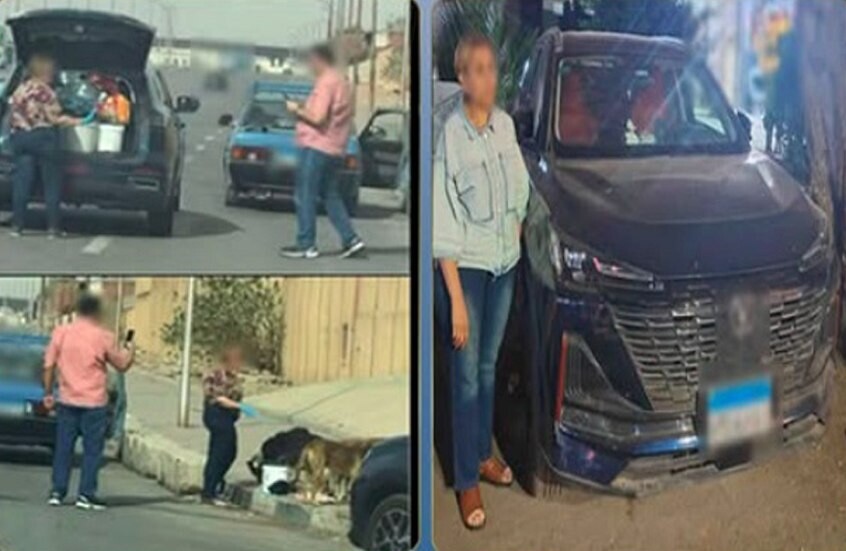 لأول مرة.. ضبط سيدة بسبب إطعامها كلاب الشارع في مصر والأمن يشرح الأسباب