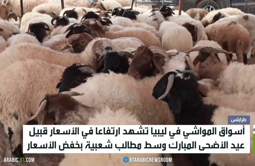 ليبيا.. ارتفاع أسعار الأضاحي قبيل العيد