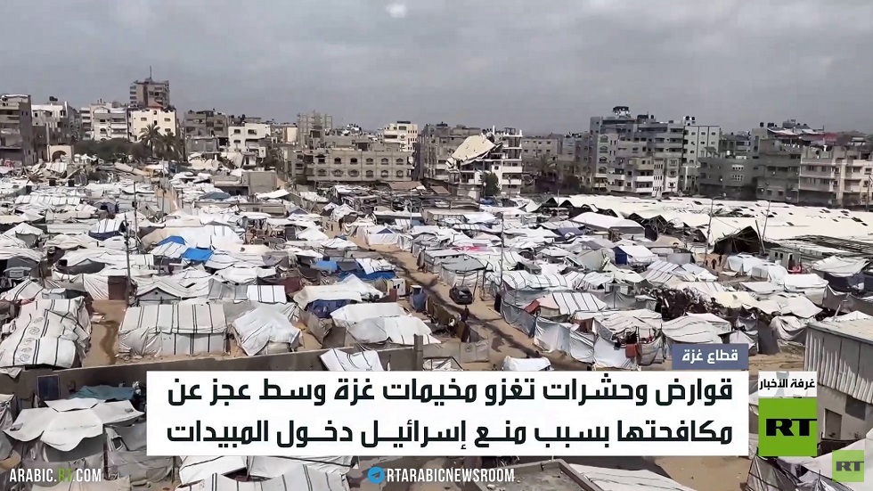 الحشرات والقوارض تغزو خيام النازحين