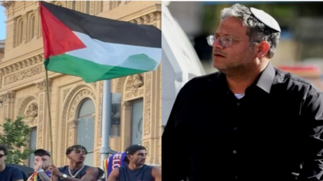 نبض الملاعب