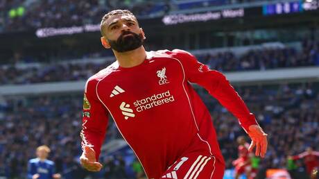 نبض الملاعب